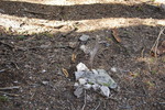 photo thumbnail #14