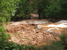photo thumbnail #9