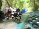 photo thumbnail #11