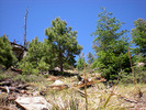 photo thumbnail #6