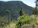 photo thumbnail #8