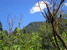 photo thumbnail #10