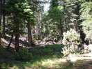 photo thumbnail #15