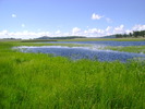 photo thumbnail #7
