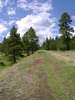 photo thumbnail #11