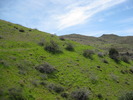 photo thumbnail #10