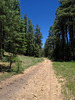 photo thumbnail #13