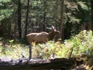 photo thumbnail #7