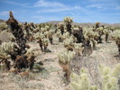 photo thumbnail #6