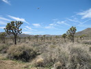 photo thumbnail #7