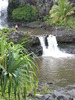 photo thumbnail #2