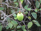 photo thumbnail #9