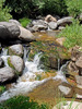 photo thumbnail #15