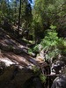 photo thumbnail #1