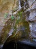 photo thumbnail #12