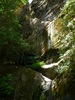 photo thumbnail #15