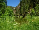 photo thumbnail #3