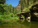 photo thumbnail #4