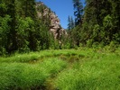 photo thumbnail #9