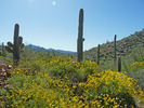 photo thumbnail #10