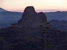 photo thumbnail #13