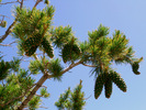 photo thumbnail #2