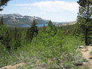 photo thumbnail #3