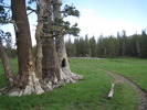 photo thumbnail #13
