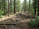 photo thumbnail #8