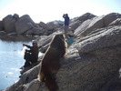 photo thumbnail #8