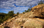 photo thumbnail #6