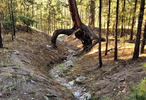 photo thumbnail #10