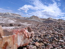 photo thumbnail #4