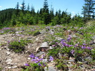 photo thumbnail #9