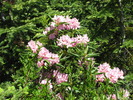 photo thumbnail #13