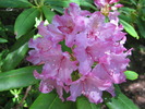 photo thumbnail #14