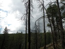 photo thumbnail #10