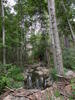 photo thumbnail #11