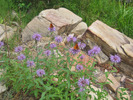 photo thumbnail #5