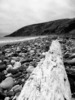 photo thumbnail #15