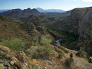 photo thumbnail #8