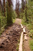photo thumbnail #14