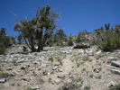photo thumbnail #7