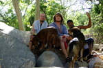 photo thumbnail #5