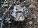 photo thumbnail #12