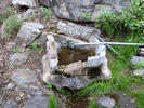 photo thumbnail #1