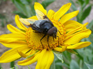 photo thumbnail #7