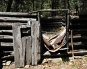 photo thumbnail #4