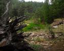 photo thumbnail #9