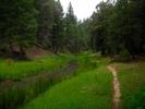 photo thumbnail #10